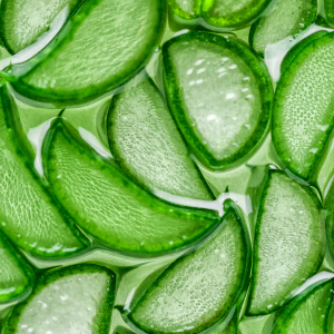 Gel di Aloe Vera Depurativo 1:1